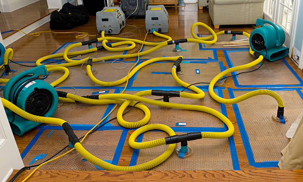 Professional Basement Flood Cleanup technician working in Sawyer, MN